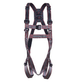 Pioneer 2-Point Harness