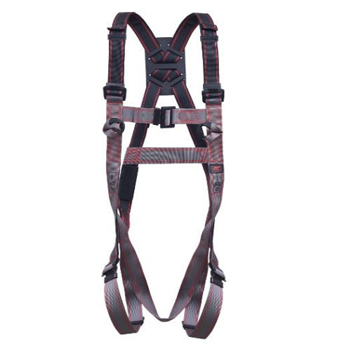 Pioneer 2-Point Harness