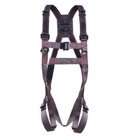 Pioneer 2-Point Harness