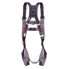 Pioneer 2-Point Harness